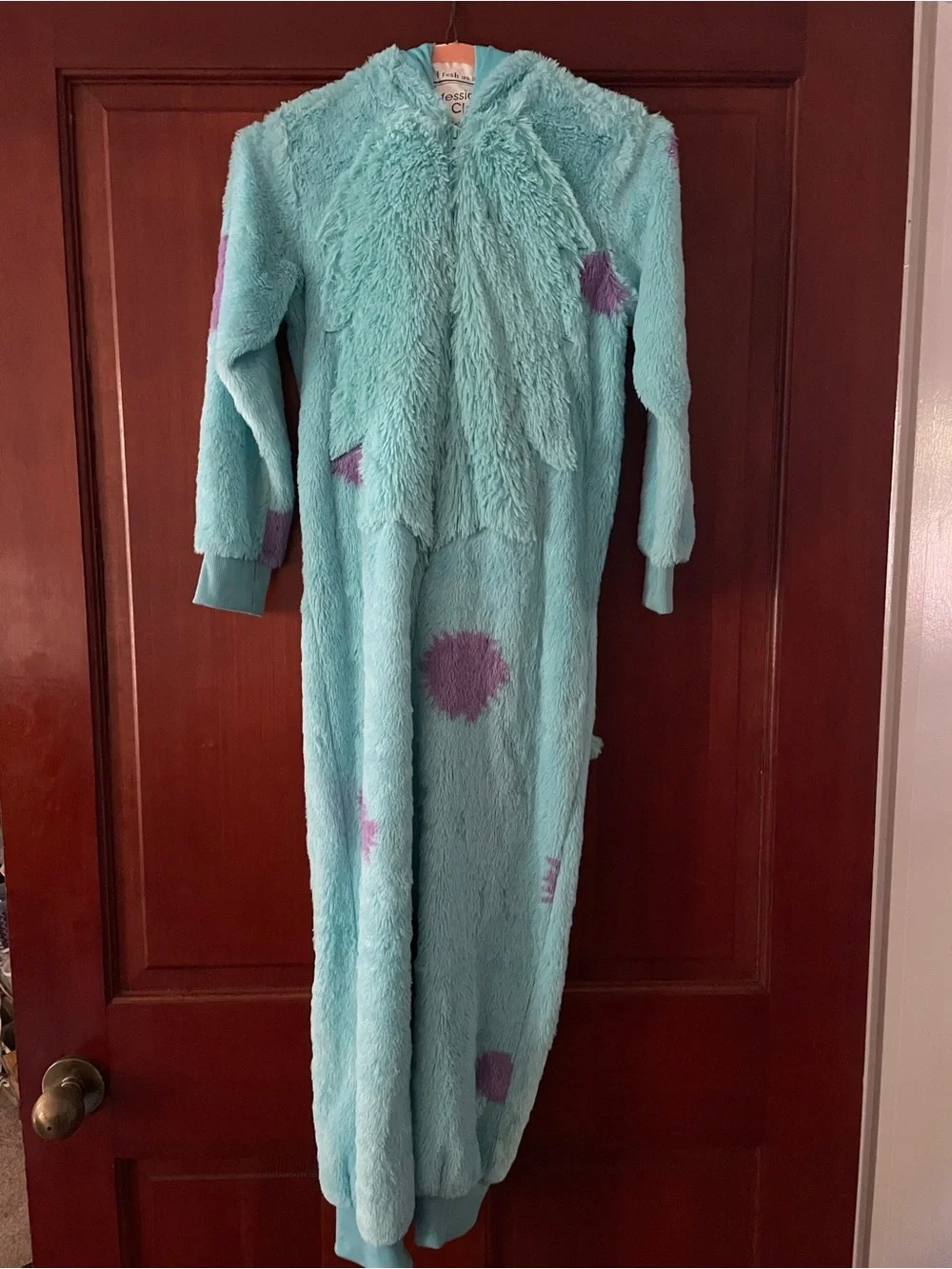 Monster’s Inc Disney Cozy Aqua and Purple Monster Hooded/Zip up kids Costume